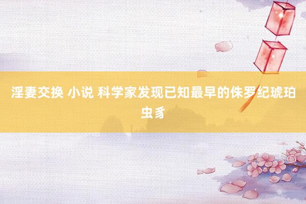 淫妻交换 小说 科学家发现已知最早的侏罗纪琥珀虫豸
