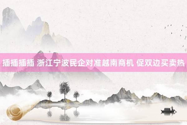 插插插插 浙江宁波民企对准越南商机 促双边买卖热