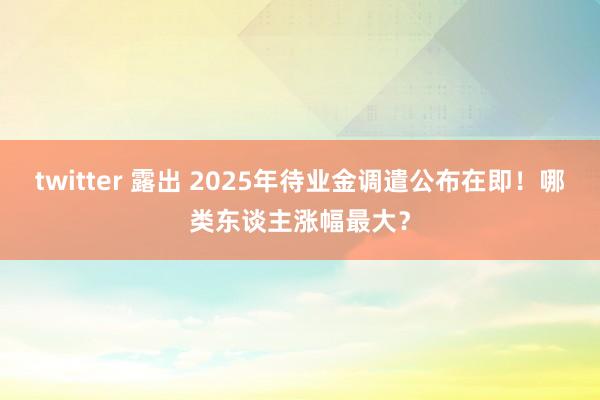twitter 露出 2025年待业金调遣公布在即！哪类东谈主涨幅最大？