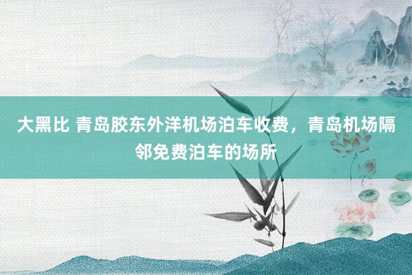 大黑比 青岛胶东外洋机场泊车收费，青岛机场隔邻免费泊车的场所