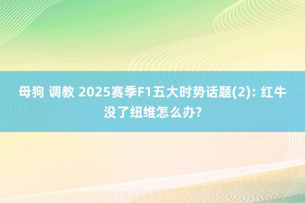 母狗 调教 2025赛季F1五大时势话题(2): 红牛没了纽维怎么办?