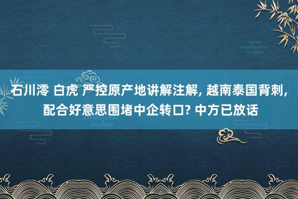 石川澪 白虎 严控原产地讲解注解, 越南泰国背刺, 配合好意思围堵中企转口? 中方已放话
