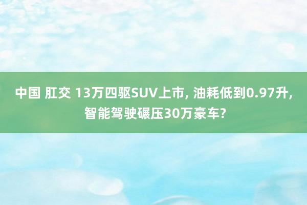 中国 肛交 13万四驱SUV上市, 油耗低到0.97升, 智能驾驶碾压30万豪车?