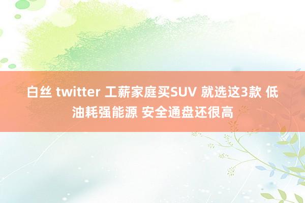 白丝 twitter 工薪家庭买SUV 就选这3款 低油耗强能源 安全通盘还很高
