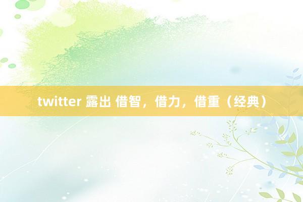 twitter 露出 借智，借力，借重（经典）