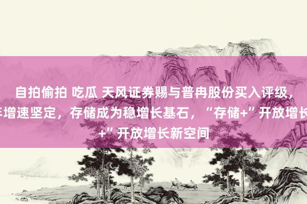 自拍偷拍 吃瓜 天风证券赐与普冉股份买入评级，2024年增速坚定，存储成为稳增长基石，“存储+”开放增长新空间